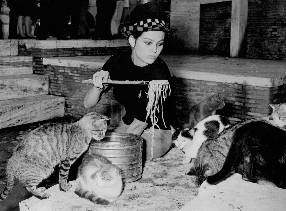 claudia_cardinale_me18