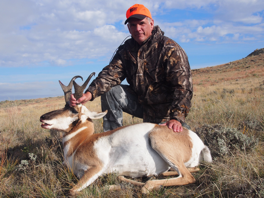 Wyo antelope 2014 mitten butte