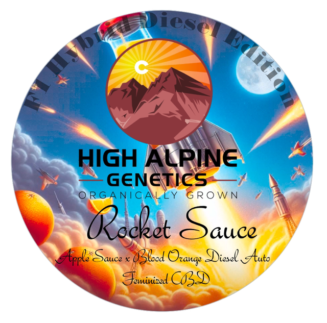 Rocket Sauce strain