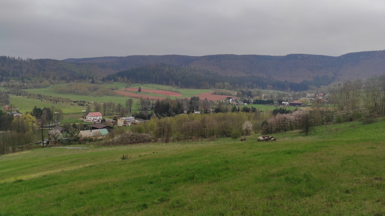 01.14 - IMG_20230429_072154 (Czesio1)