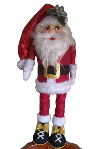 Santa Parado con lentes