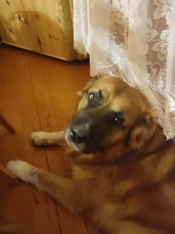 DCDB4E7C-852D-443E-AE9D-E91BD2EA7C3D