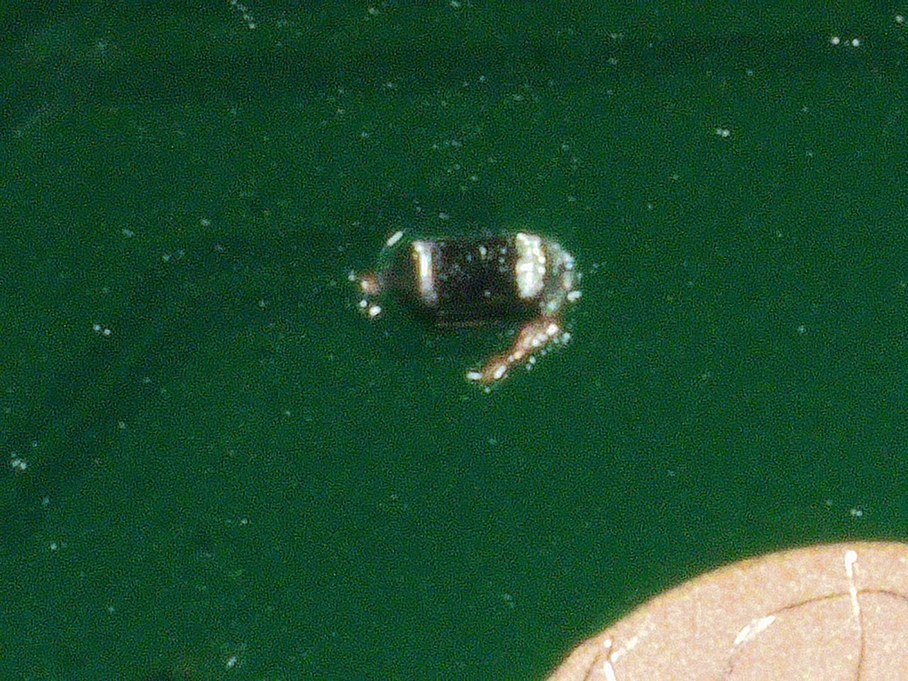 2020 1006 153653 020