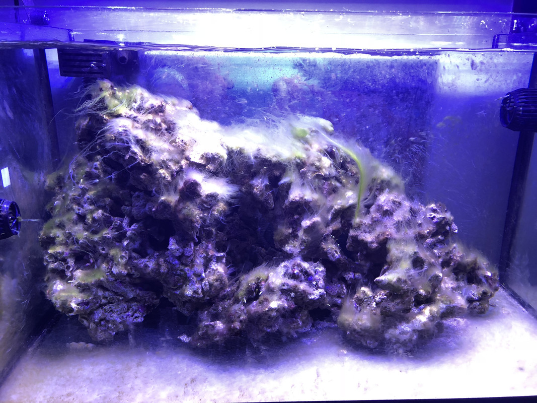 30FCBA5F-045A-4FBB-B640-D40BBA73AA71