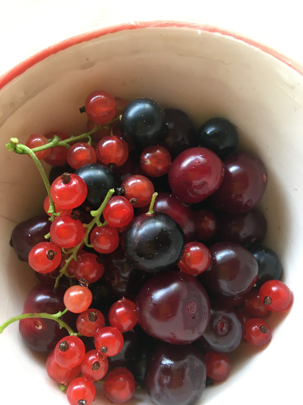 С телефона все летнее 055