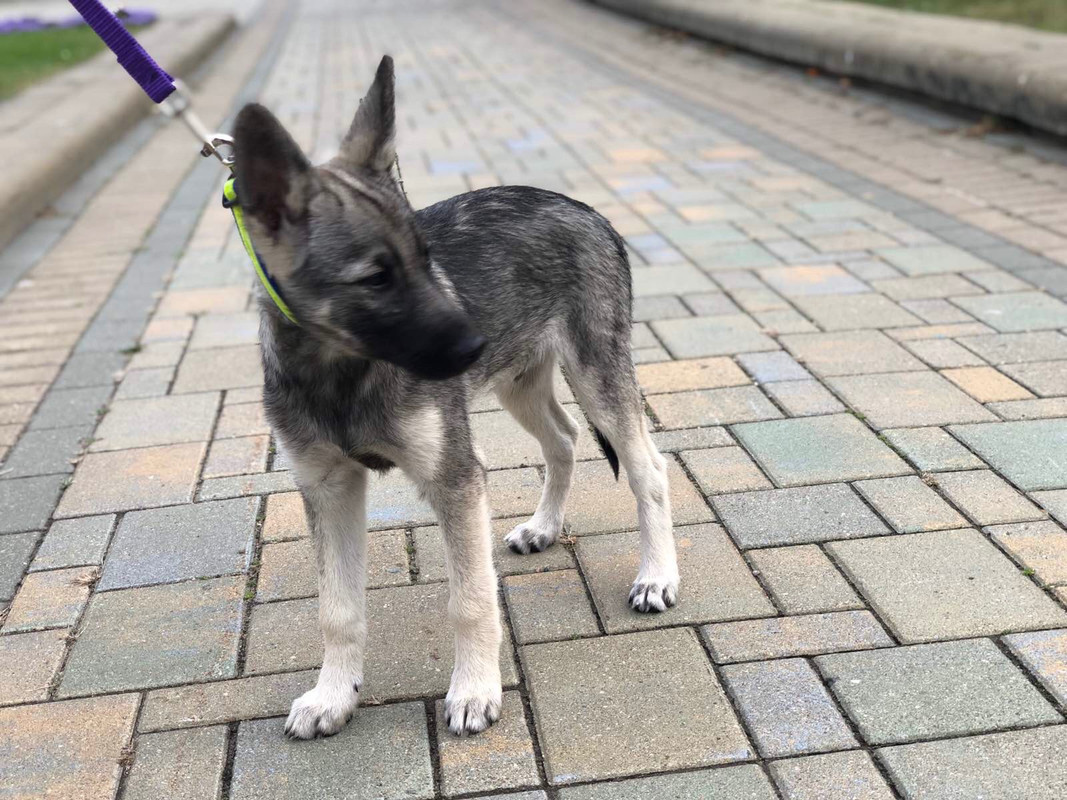 258D1390-DF8F-4636-910A-DE48B9076A46