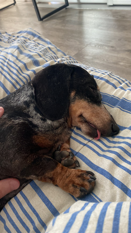 [Image: 8-B8-B8362-EA15-4-B9-D-BAA8-278-FD3-BBD0-EC.jpg]