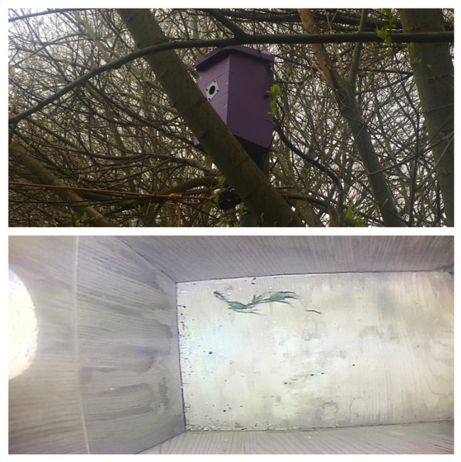 FE59A442-8624-4590-BEF2-71ED3D015D94