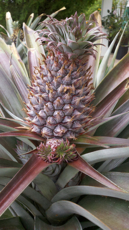 2013-05-19_15-29-59_833