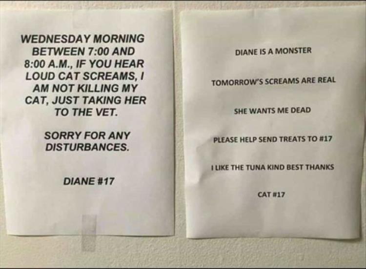 notice_about_cat_and_cats_response.jpg