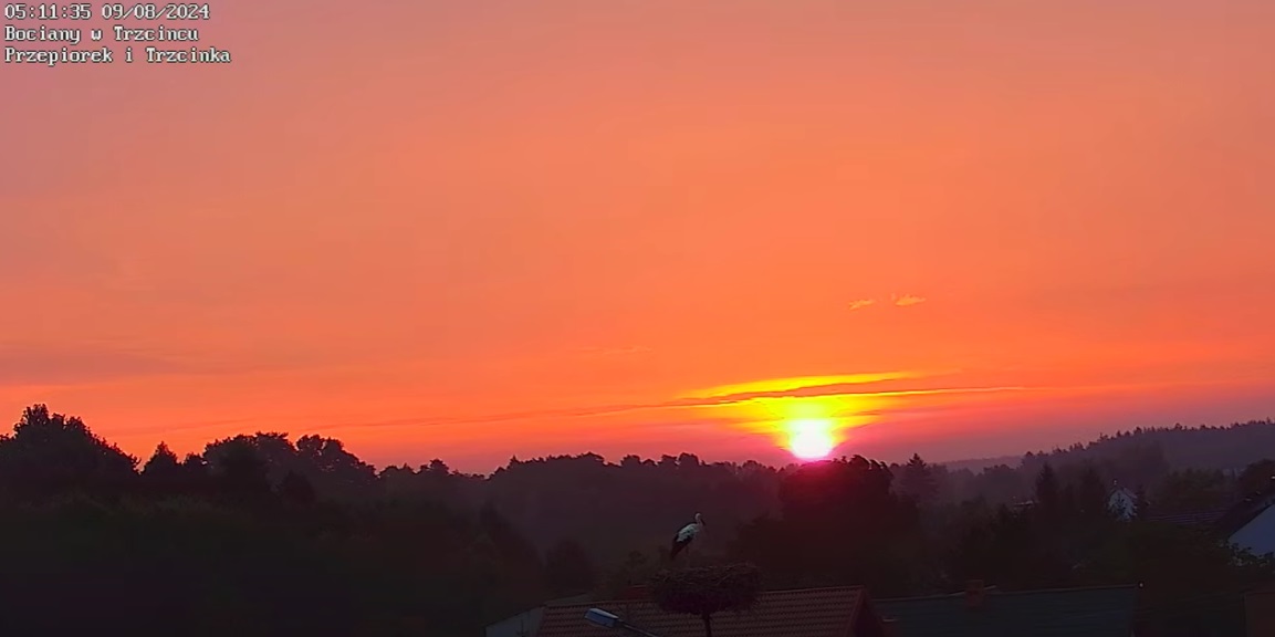 bocianowschodzieslonca