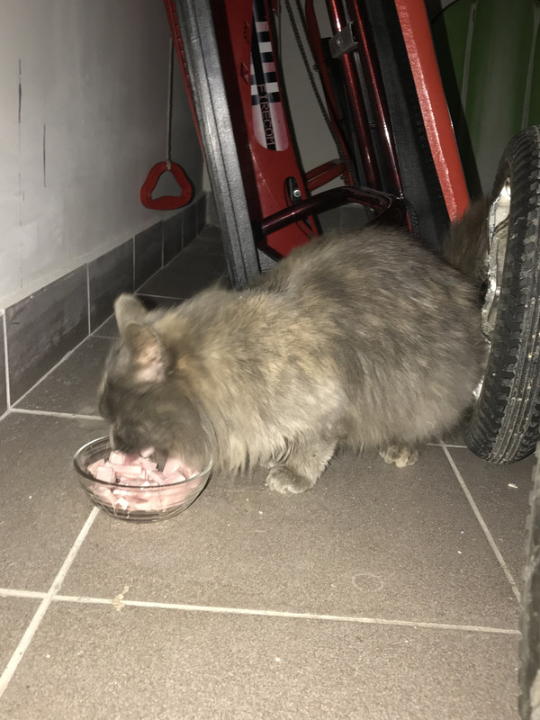 81324529-E909-46E8-94ED-08A53F968F24