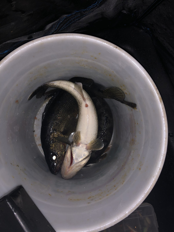 46FAE1A7-A42A-4C6A-B5AD-62DF1DB22FD6