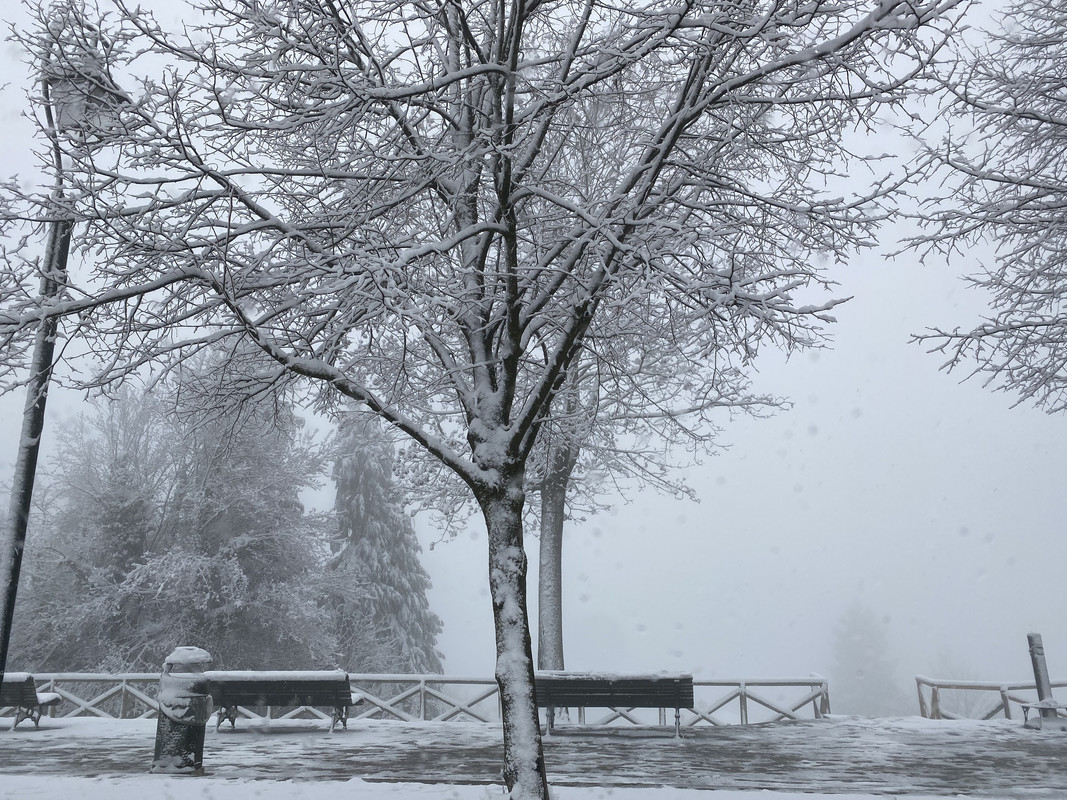 A10476AF-30E2-423B-BC6E-98F94E9FF920