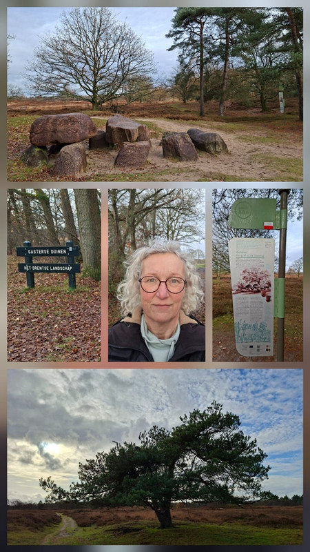 Afbeelding-van-Whats-App-op-2025-11-18-om-12-01-50-1a9aa8bf