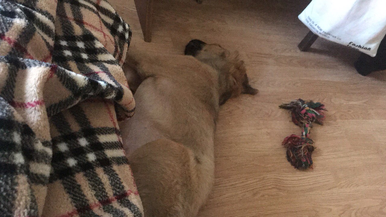 IMG-ca9296811b5baafc49b46031c0927cbc-V