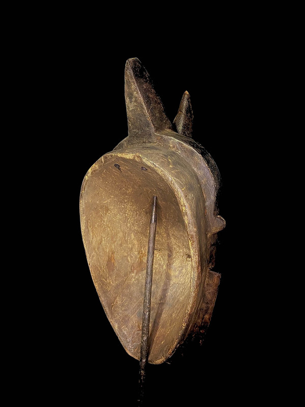 large image 12