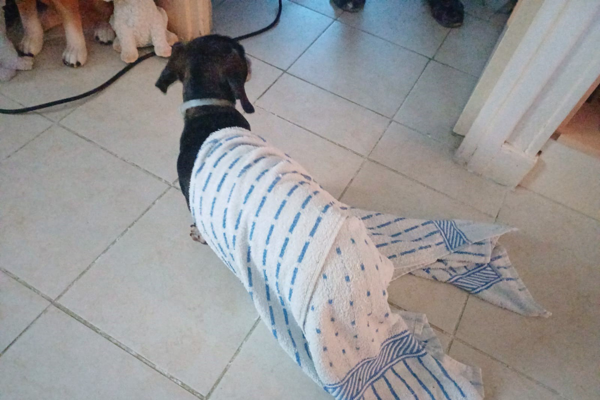 [Image: IMG-20241009-WA0003.jpg]