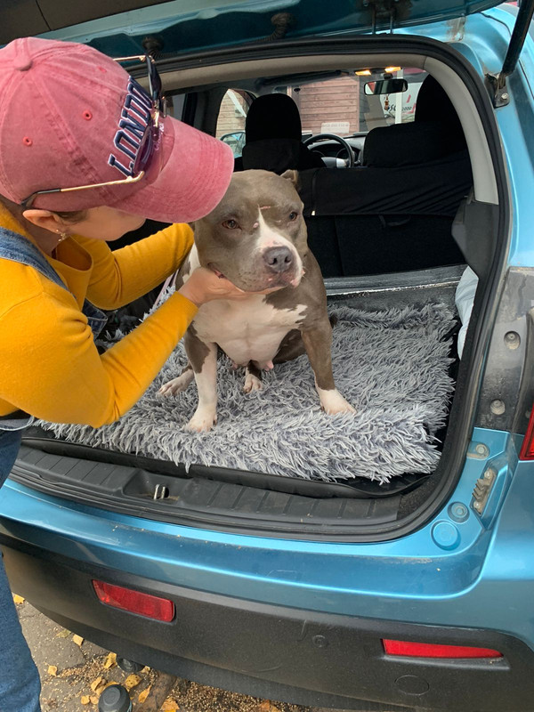 3A4A91AB-5919-43EE-BCBC-030872FA4AC0