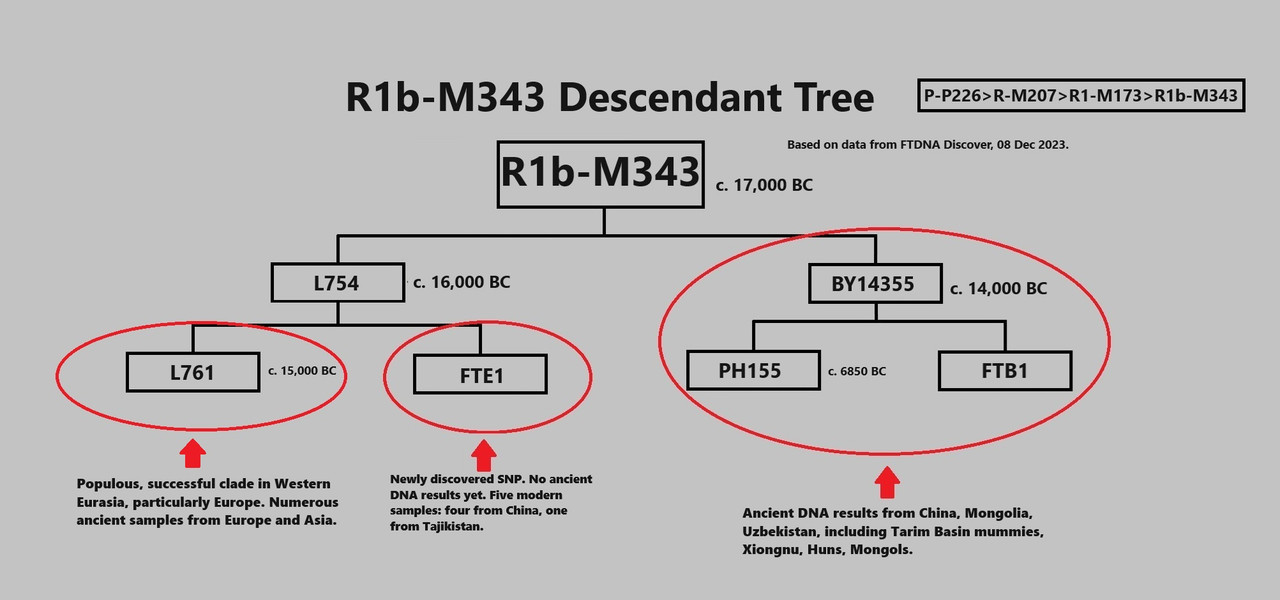 [Image: R1b-M343-Descendant-Tree-w-scribble-notes.jpg]