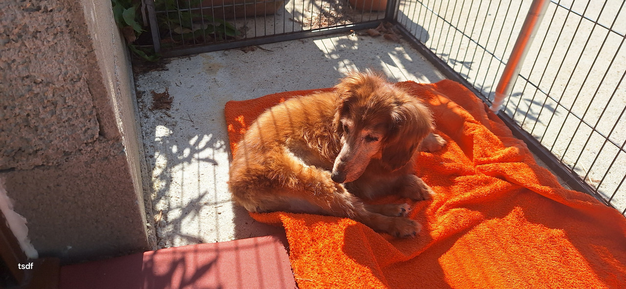 [Image: 20250709-100857.jpg]