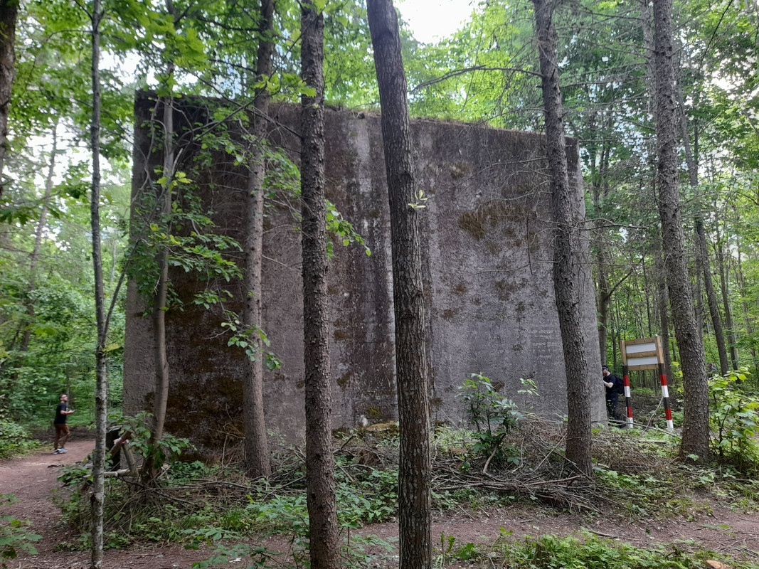 12.17 - 20210605_113732 (Aldona)