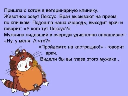 https://i.postimg.cc/L4PmS7LQ/12410585-722023857932168-5375290701712253999-n.jpg