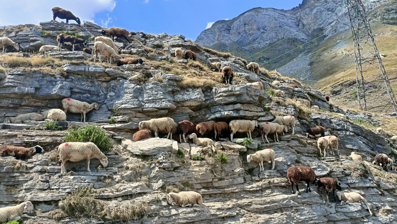 IMG20250811142347 (Medium)