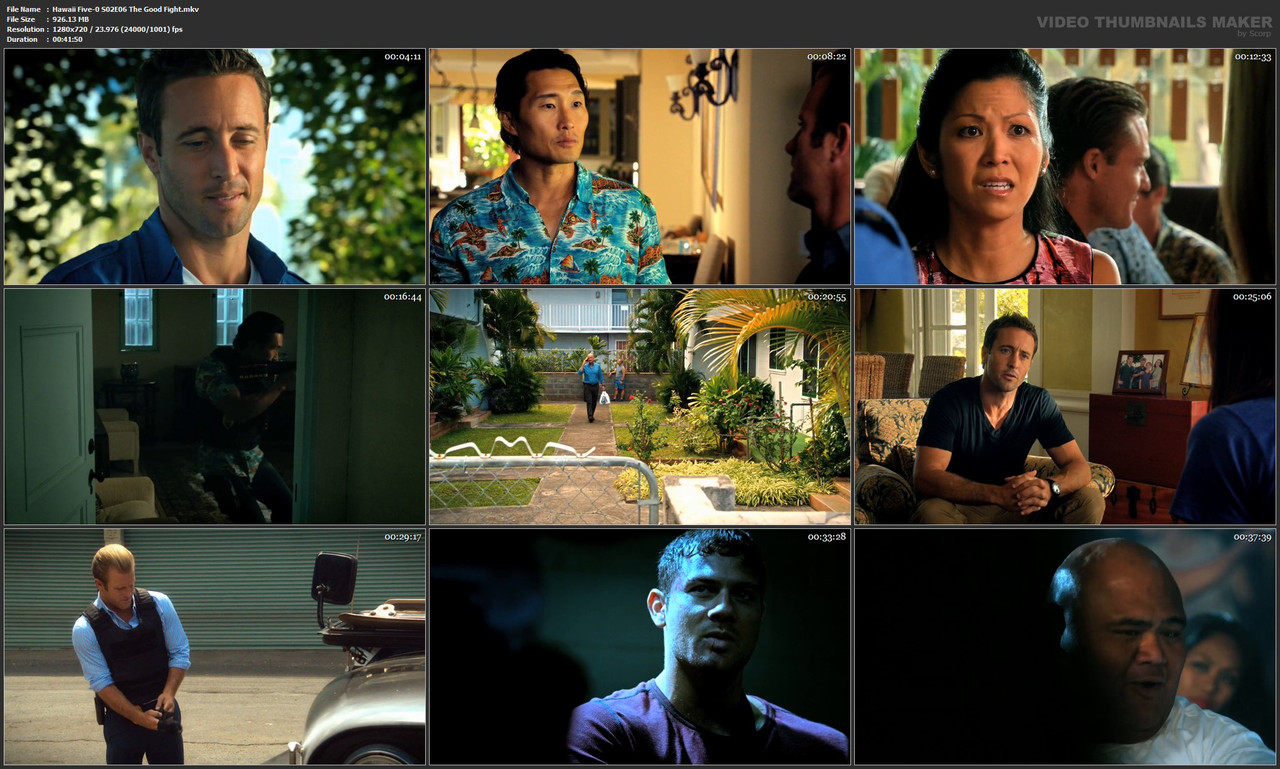 Hawaii Five-0 S02E06 The Good Fight.mkv