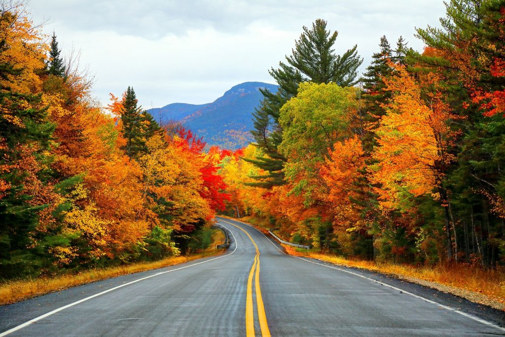 [Image: beautiful-fall-pictures-1660843096.jpg]