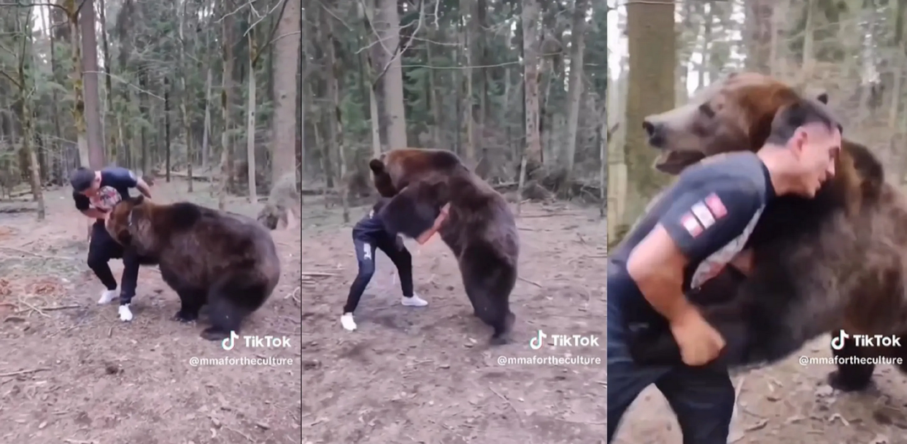 Yasubey Enomotod de la UFC se pelea cuerpo a cuerpo con un oso: video viral