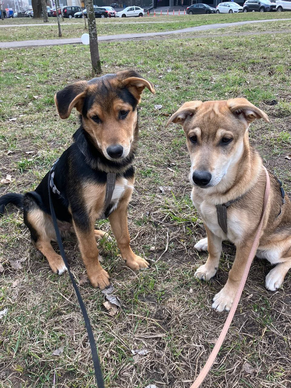 0c4ba7aa-855c-40c4-b97e-f130f63e50ad (1)