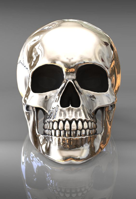 silverscull.jpg