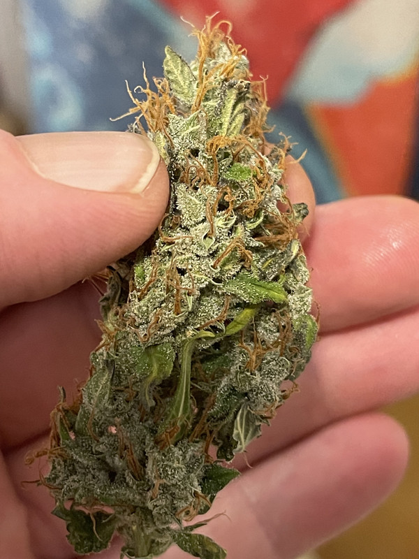 E60B6064-07AD-4749-B30E-5576E8BD0B51