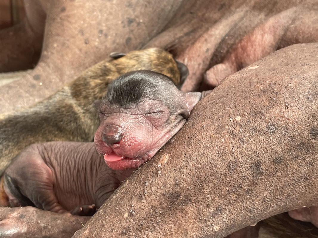 52E4332A-5F54-41A1-A4CC-42195D1630D1