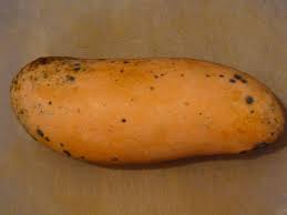 2015-01-22-00-13-23--1600130115