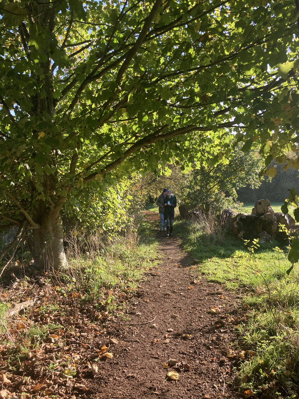 10AFED80-90A1-4014-99F5-9253DB6611B8