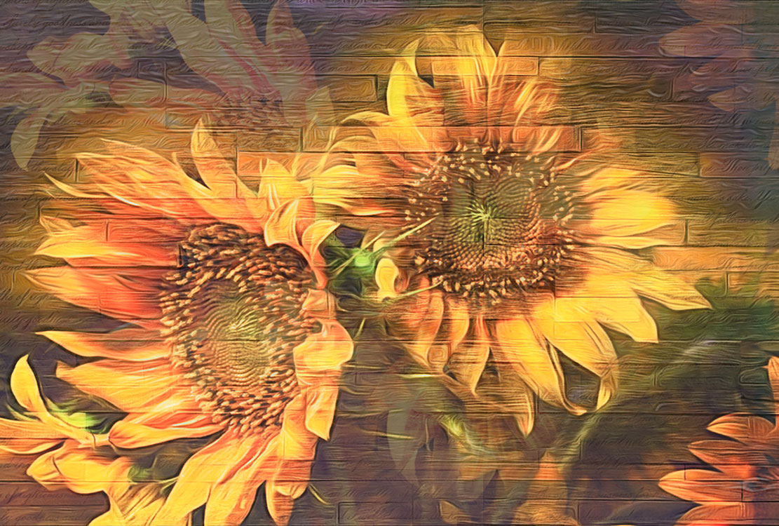 14 200920073649 1951578