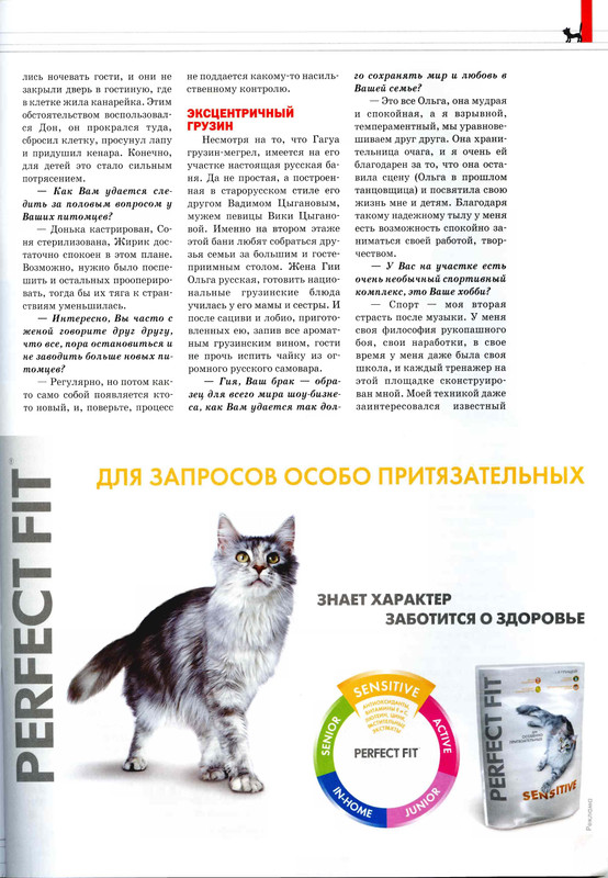 Друг кошек № 10 2009-14