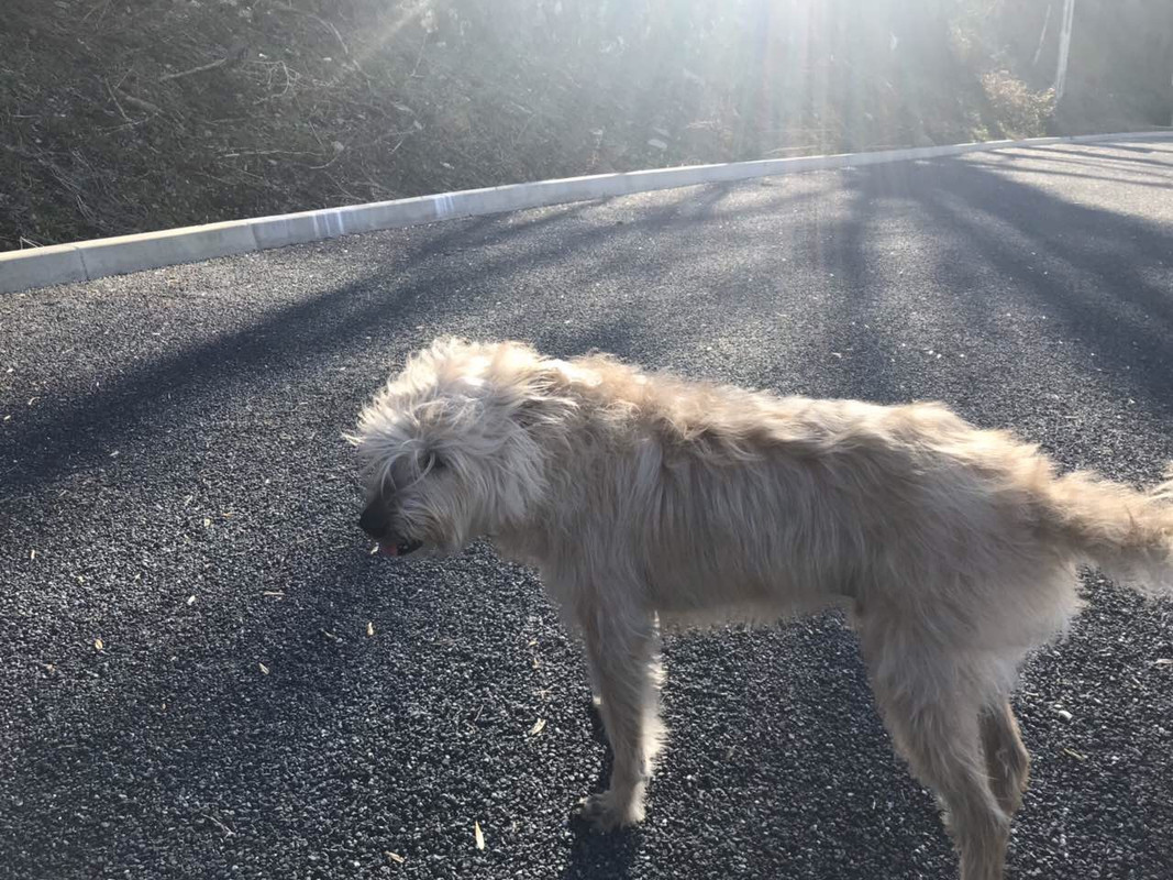 CE565C3B-8B2F-43B8-8251-E6BF5422D574