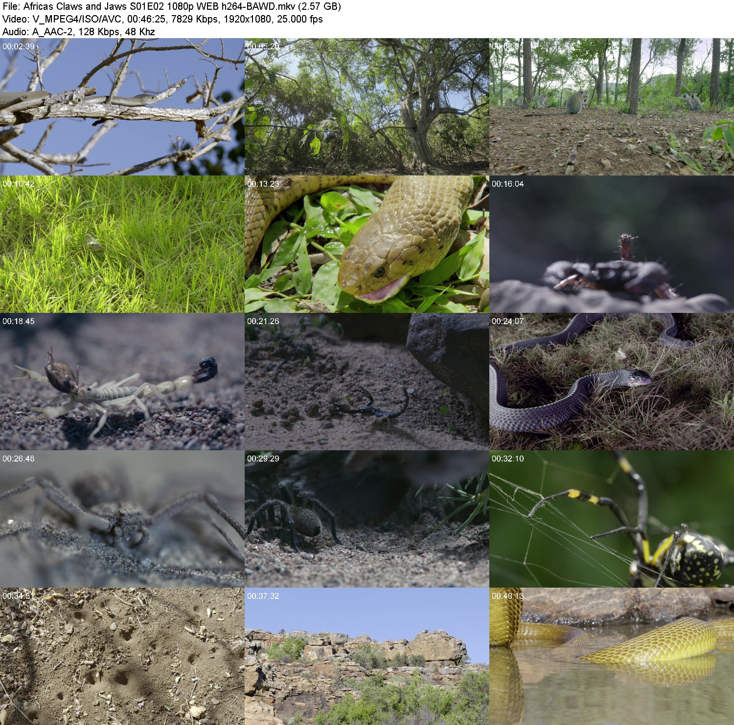 [Image: y8d44pxcsus6.jpg]