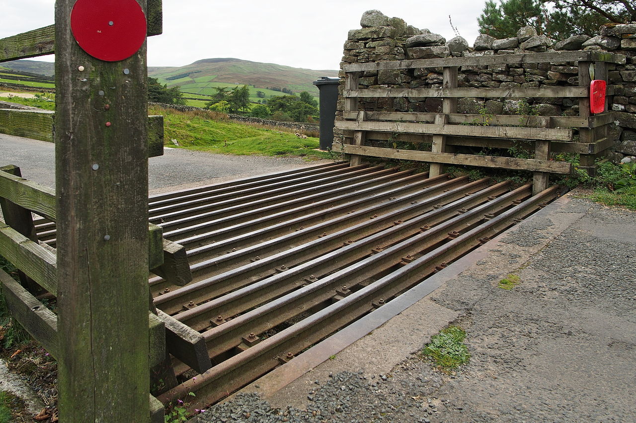 2014-Cattle-grid-Sw-aledale.jpg