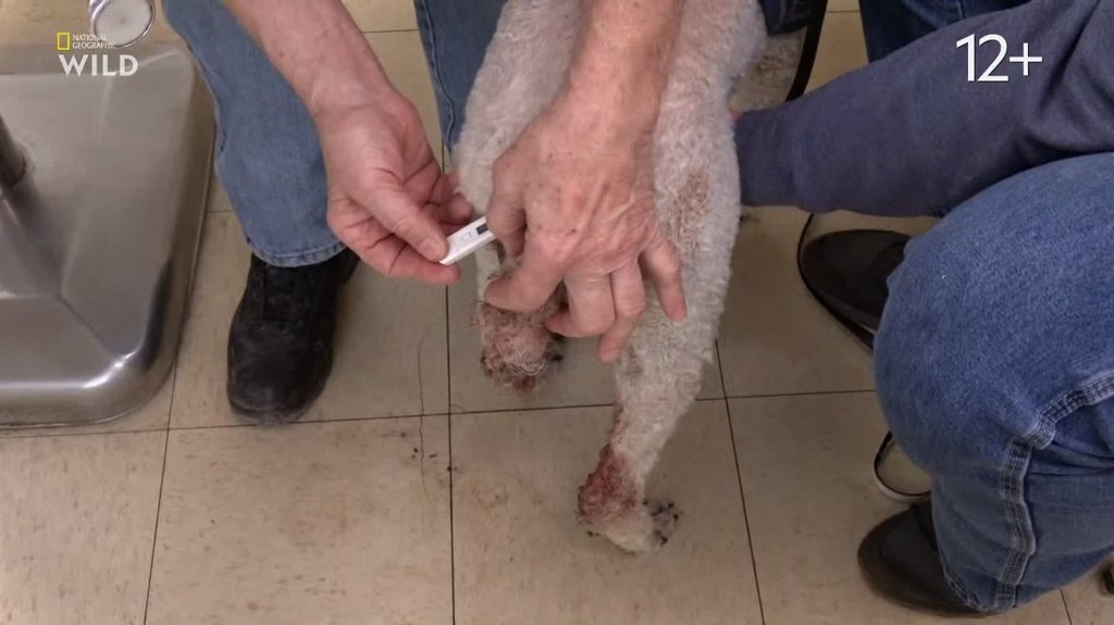 [Image: l1vqtqt5aj12.jpg]