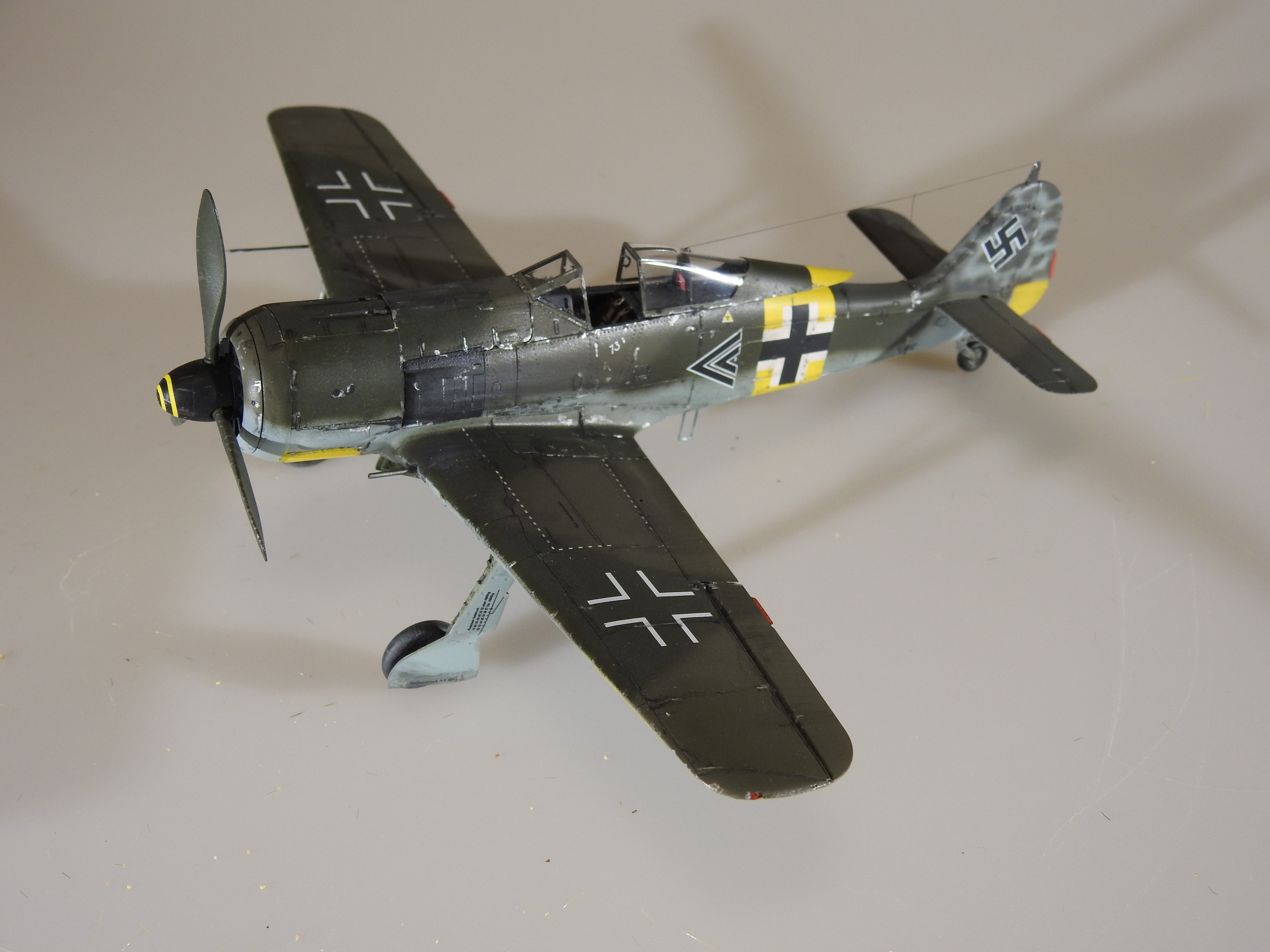 Fw 190A-5, Eduard 1/48 – klar DSCN7529