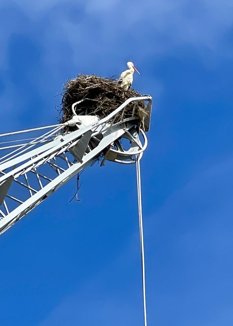 [Linked Image from i.postimg.cc]