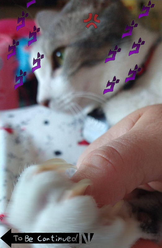 9Asa_vG1FnmoX6zVP5eAdx1sKiD2SOJ6ycSIC13x2ic