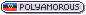 tiny button that says polyamarous with the newer polyamary flag on it