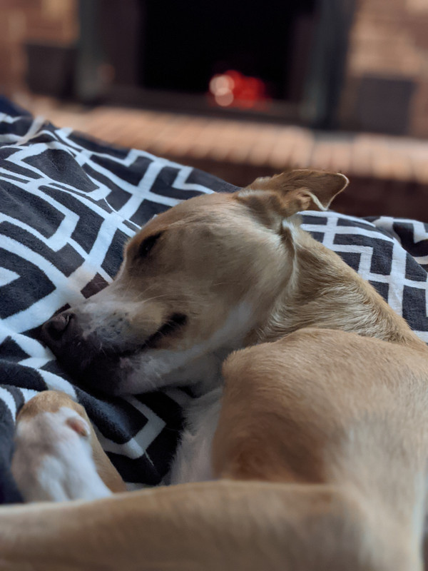 PXL_20210110_052557939.PORTRAIT