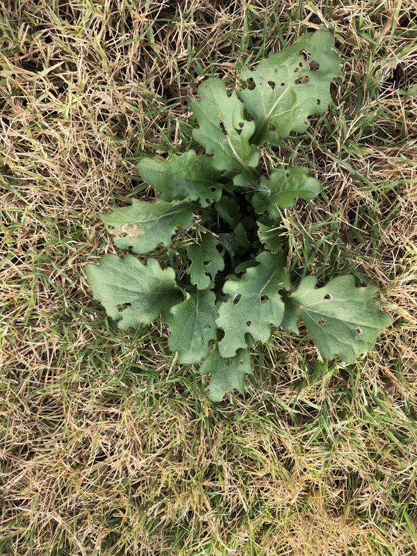 9FEF789B-90C3-43B3-837C-83FAE488533E