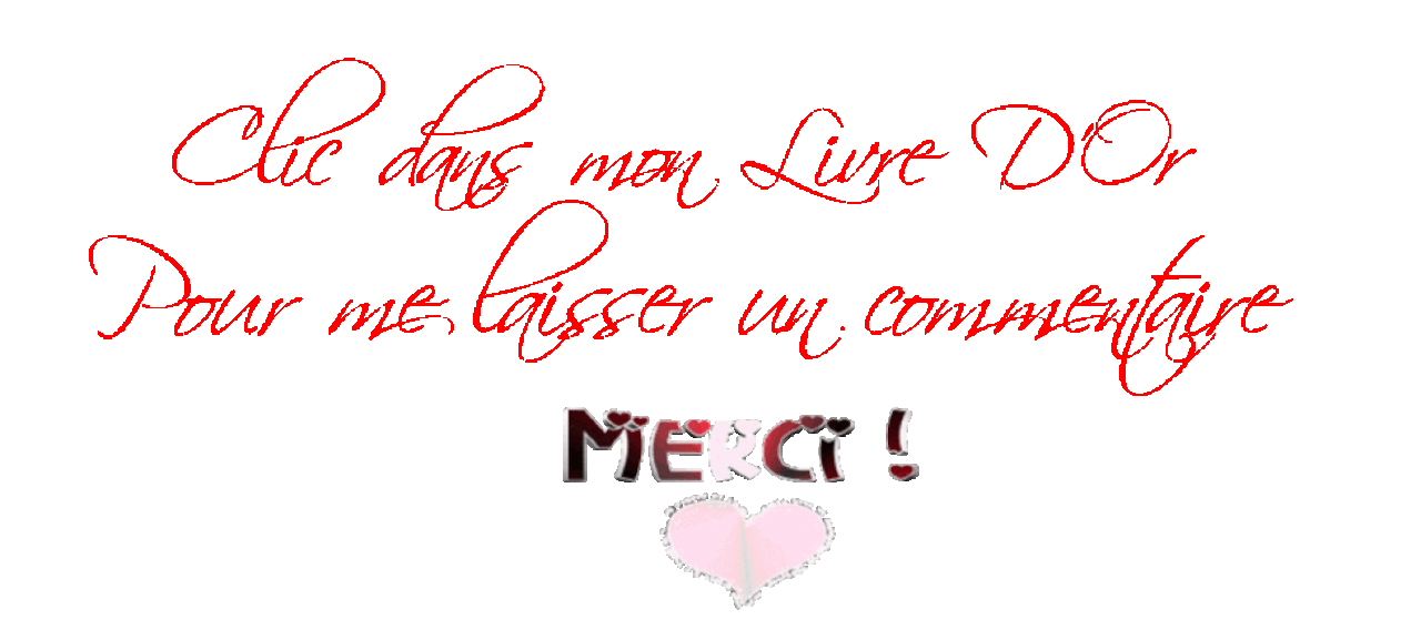 clic-dans-mon-livre-d-or